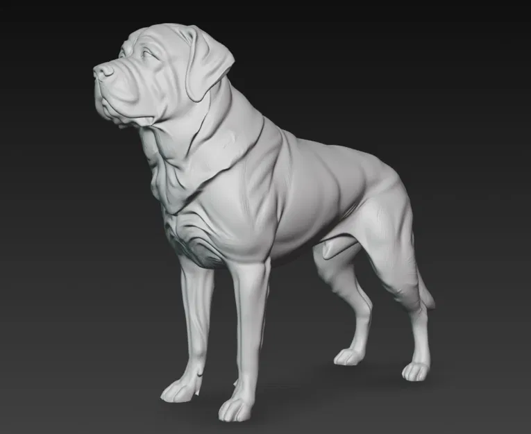 St. Bernard - Image 1