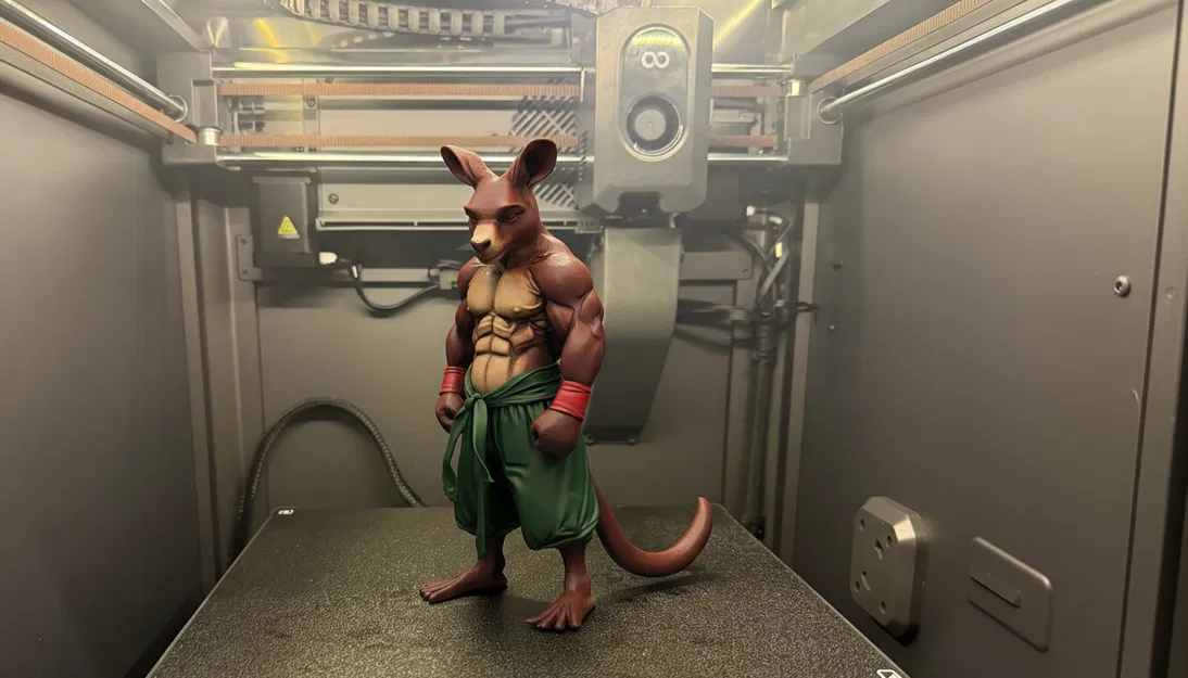 Kangaroo Đấm Bốc (Boxing Kangaroo) - Image 1