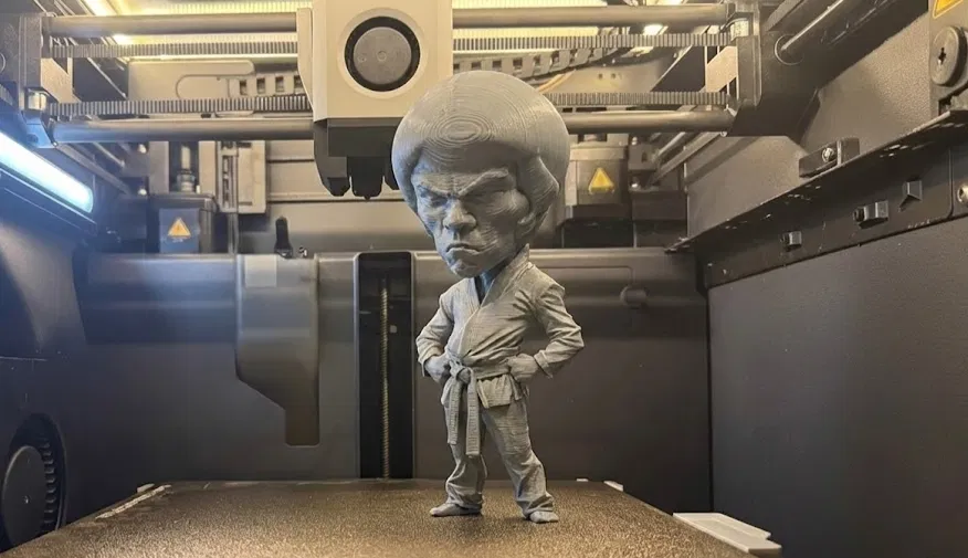Bruce Lee – Mô hình 3D - Image 1