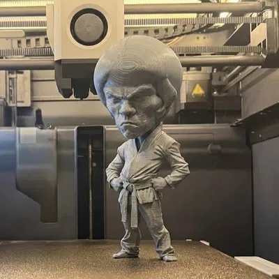 Bruce Lee – Mô hình 3D
