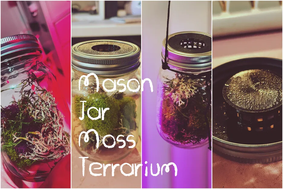 Nắp Terrarium cho Mason Jar - Image 1