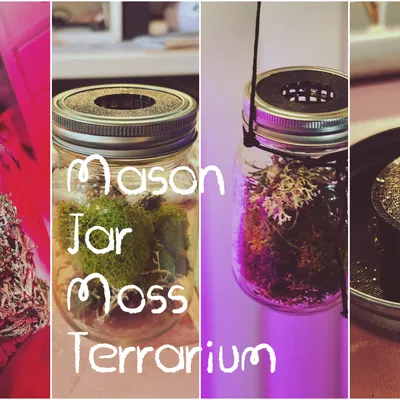 Nắp Terrarium cho Mason Jar