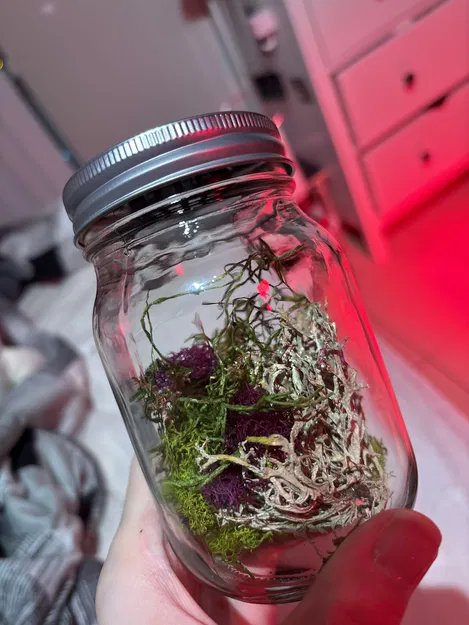 Nắp Terrarium cho Mason Jar - Image 2