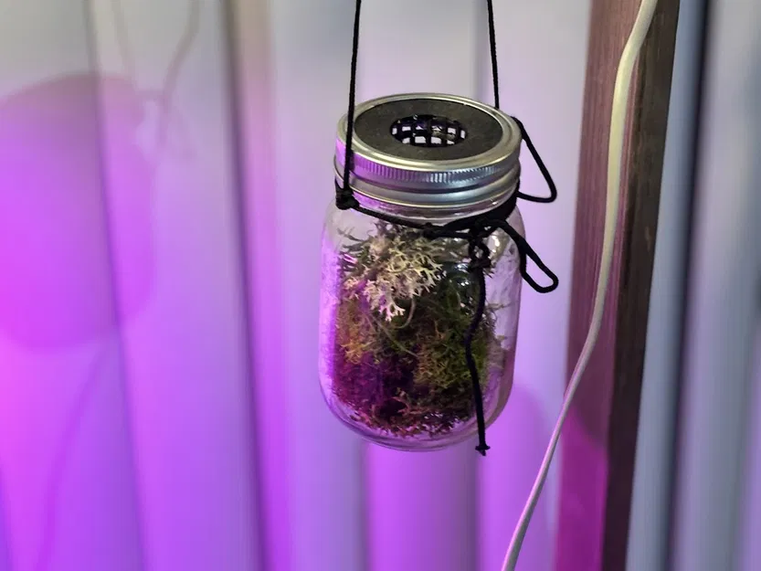 Nắp Terrarium cho Mason Jar - Image 4