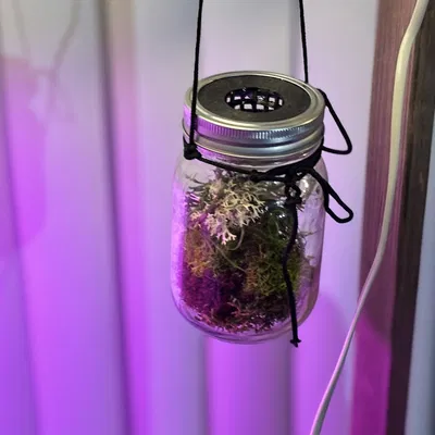 Nắp Terrarium cho Mason Jar