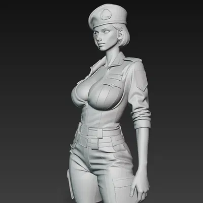 Cô gái quân nhân sexy 2