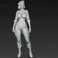 Cô nàng quân nhân gợi cảm (sexy military woman) - Thumbnail 5