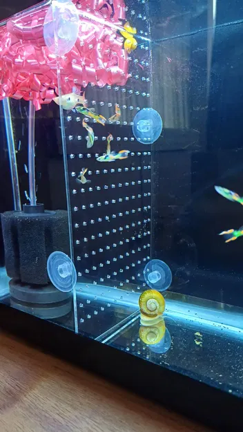 Aquarium slicer – Vách ngăn hồ cá - Image 1