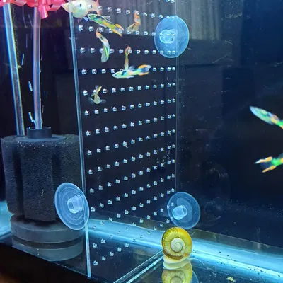 Aquarium slicer – Vách ngăn hồ cá