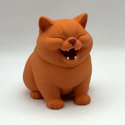 Happy Chonk Kitten – Bé mèo chonk cười tươi