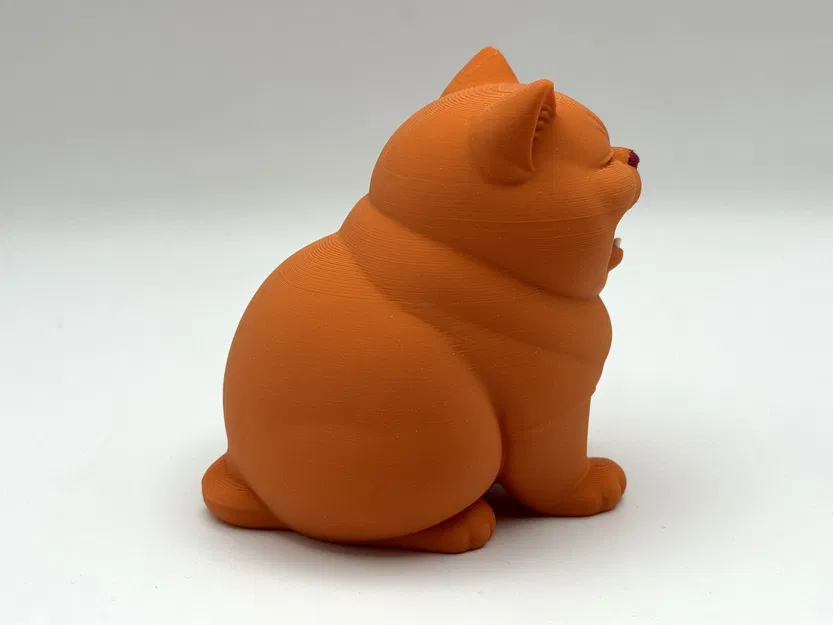 Happy Chonk Kitten – Bé mèo chonk cười tươi - Image 4
