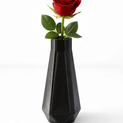 Bình hoa tối giản (Minimalist Vase)