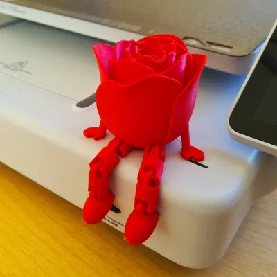 Hoa hồng khớp nối (Valentines Day) – Articulated Rose