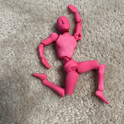 FDMJoint Articulated Human Contortionist – Mô hình người dẻo khớp FDMJoint
