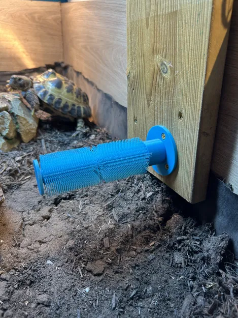 Shell scratcher – Bàn chải gãi mai cho rùa - Image 3