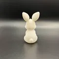 Thỏ Con Ngồi Dễ Thương (Cute Sitting Bunny) - Thumbnail 2