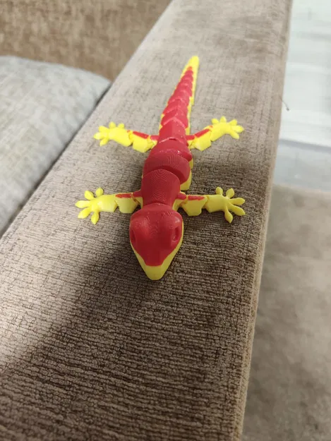 Jaszczurka Flexi (Thằn lằn Flexi) - Image 5