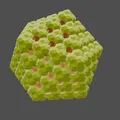 Cụm rhombic icosahedra và rhombic hexecontahedra - Thumbnail 3