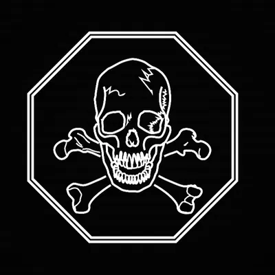 ULTRAKILL - Bạn Đã Chết (You Have Died) Skull Wall Art