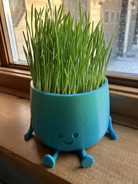 Chậu Hoa Mặt Cười (Happy Flower Pot) - Image 1