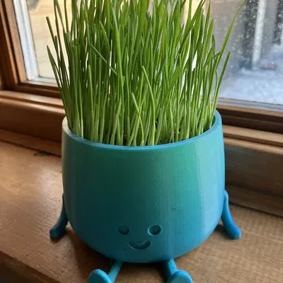 Chậu Hoa Mặt Cười (Happy Flower Pot)