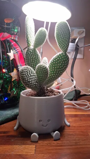 Chậu Hoa Mặt Cười (Happy Flower Pot) - Image 2