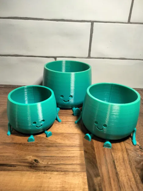 Chậu Hoa Mặt Cười (Happy Flower Pot) - Image 4