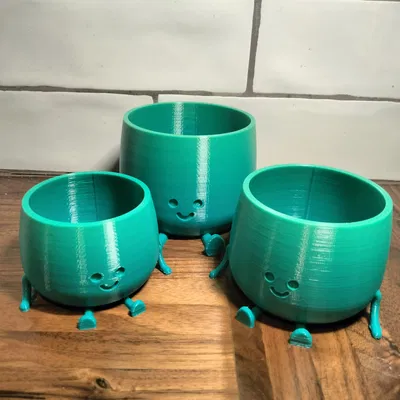 Chậu Hoa Mặt Cười (Happy Flower Pot)