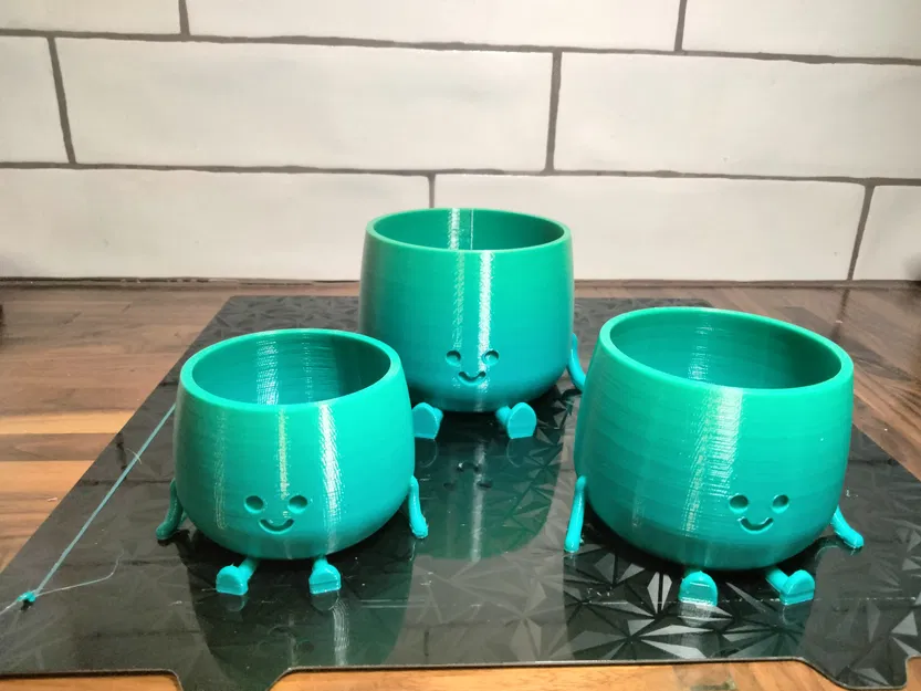 Chậu Hoa Mặt Cười (Happy Flower Pot) - Image 5