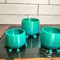Chậu Hoa Mặt Cười (Happy Flower Pot) - Thumbnail 5