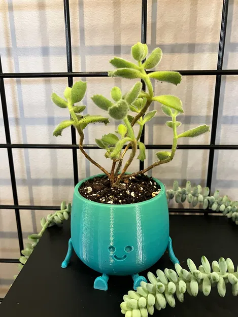 Chậu Hoa Mặt Cười (Happy Flower Pot) - Image 7