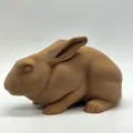 Thỏ Thật Tạo Dáng Cảnh Giác (Alert Realistic Rabbit) - Thumbnail 1