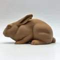Thỏ Thật Tạo Dáng Cảnh Giác (Alert Realistic Rabbit) - Thumbnail 2