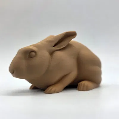 Thỏ Thật Tạo Dáng Cảnh Giác (Alert Realistic Rabbit)