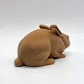 Thỏ Thật Tạo Dáng Cảnh Giác (Alert Realistic Rabbit) - Thumbnail 5