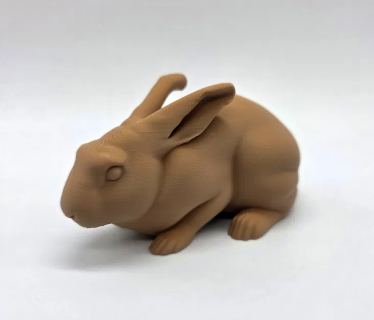 Thỏ Thật Tạo Dáng Cảnh Giác (Alert Realistic Rabbit) - Image 6