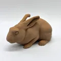 Thỏ Thật Tạo Dáng Cảnh Giác (Alert Realistic Rabbit) - Thumbnail 6