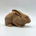 Thỏ Thật Tạo Dáng Cảnh Giác (Alert Realistic Rabbit) - Thumbnail 7