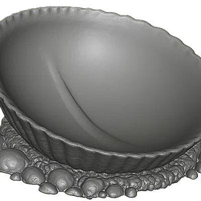 Clam (Vỏ sò)