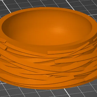 Tô dạng tổ (A nest bowl)