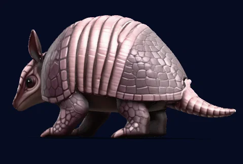 Armadillo (Thú cưng nhỏ xinh) - Image 2