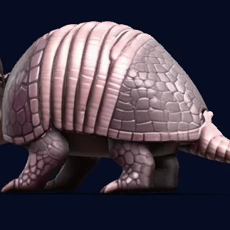 Armadillo (Thú cưng nhỏ xinh)