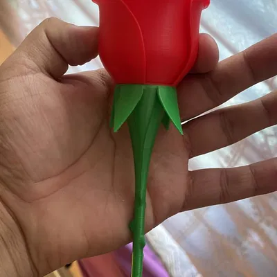 ROSE - NO glue REMIX+