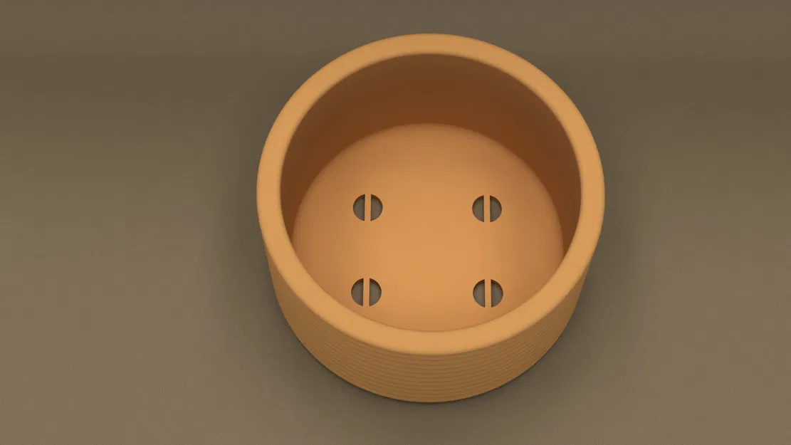 Maceta pequeña (Chậu cây nhỏ) - Image 2