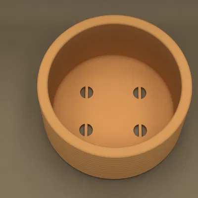 Maceta pequeña (Chậu cây nhỏ)