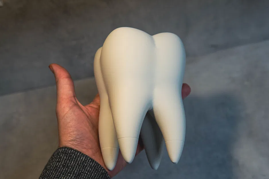 The Tooth (Răng Hàm) - Image 1