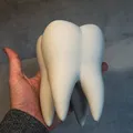 The Tooth (Răng Hàm) - Thumbnail 1