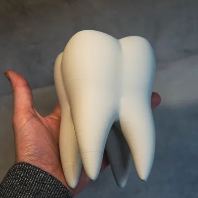 The Tooth (Răng Hàm)