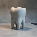 The Tooth (Răng Hàm) - Thumbnail 6