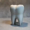 The Tooth (Răng Hàm) - Thumbnail 8